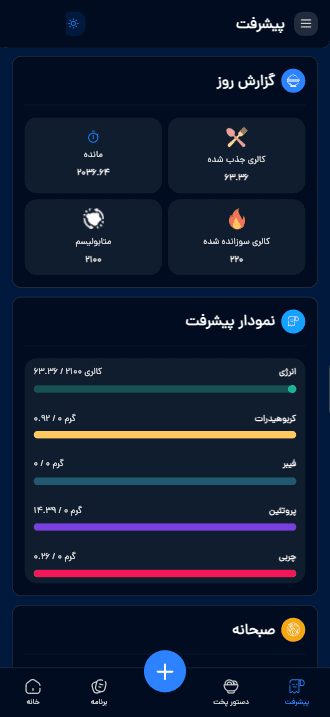 گزارش پیشرفت